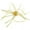 Yellow, variant on Soft Bait Dice Shape Whisker Design Bright Color Slow Sinking Flexible Increased Fish Rate Bite Resistant Trout Yellowfish Bass Fishing Lure Outdoor Fishing