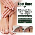 thumbnail image 3 of 2025 Tea Tree Massage Oil, Nourishing Essential Oil for Hair & Skin Hydration, 1pcs 30ml, 3 of 5