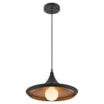 thumbnail image 4 of LANDIS PENDANT, 4 of 4