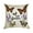 Pioneer Flower and Butterfly-3, variant on Pioneer Flower And Butterfly Pillow Covers,Pioneer Flower And Butterfly Throw Pillow Covers 18"×18" ,Living Room Sofa Couch Pillow Covers,Decorative Pillow Covers