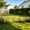 Black-BK, variant on Climbing Greenery support, garden border fence, stackable plastic garden fence, picket style, weather-resistant, for lawn flowerbed vine edging yard outdoor decor