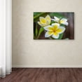 thumbnail image 4 of Trademark Fine Art 'Plumeria in the Rain' Canvas Art by Pierre Leclerc, 4 of 4