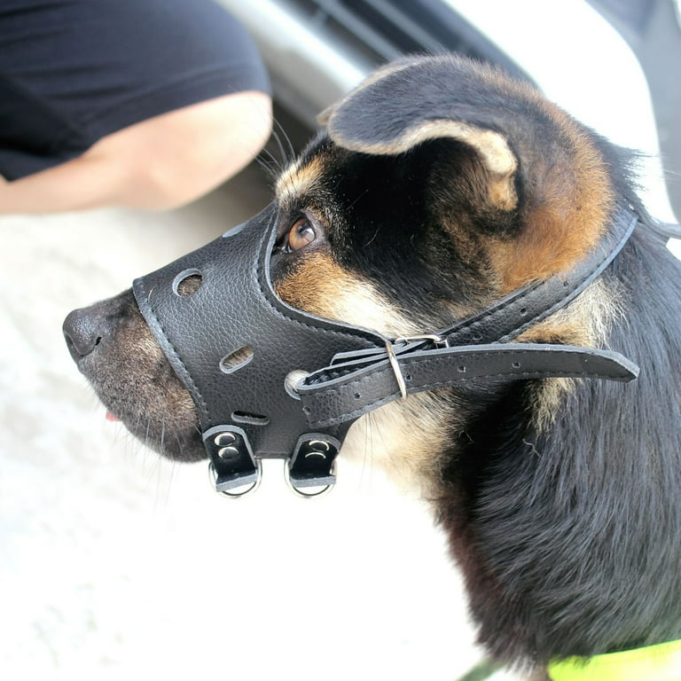 What is a top muzzle used for