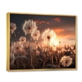 thumbnail image 2 of Designart "Sunset Dandelion landscape III" Floral Floater Framed Canvas Wall Art, 2 of 7