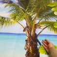 thumbnail image 3 of Happy Summer Pictures Photography Backdrops Background BBQ Party Event Wall Decoration Photo Backdrop Palm Tree, 3 of 5