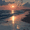 Sunset Beach Ocean, variant on UXIEQU Abstract Orange Black Flower Canvas Wall Art 15.75x11.81 Inches