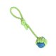 thumbnail image 3 of Juguete de Cuerda para Mascotas Greeniant Algodón 31*5.5 cm, 3 of 5