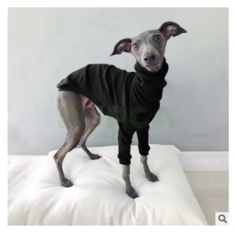 Italian Greyhound Zip Up Hoodie 2 Italian Greyhound Zip Up Hoodie 2
