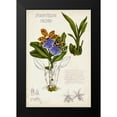 thumbnail image 2 of McCavitt, Naomi 11x14 Black Modern Framed Museum Art Print Titled - Orchid Field Notes II, 2 of 5