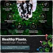 Biochar Pro Garden Mix Soil - 4 Quart Bag for Enhanced Plant Growth, Soils