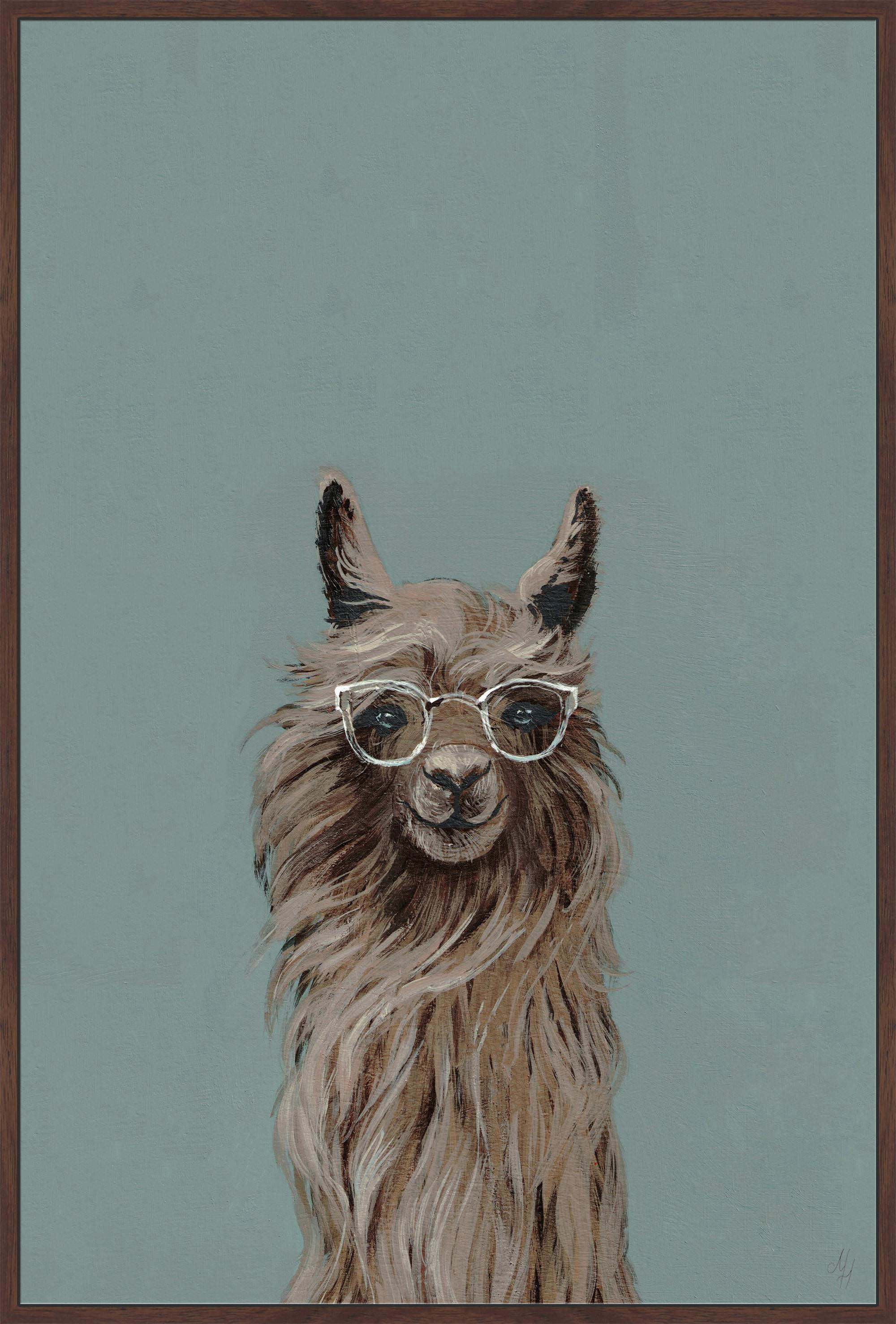 Shaggy Llama II Floater Framed Painting Print on Canvas