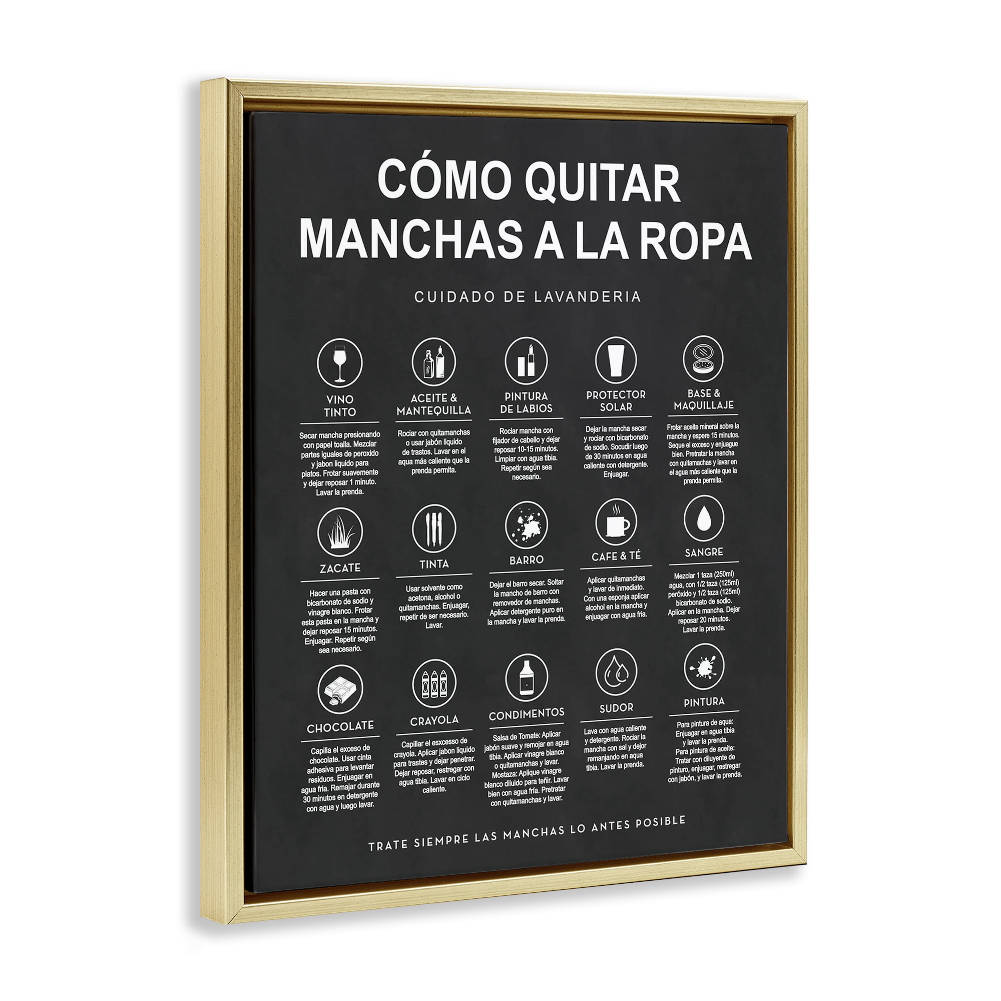 Stupell Industries Guía de Limpieza de Manchas, Negro Bath & Laundry Painting Gold Floater Framed Art Print Wall Art, 25 x 31