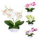 thumbnail image 3 of Gwong Decoración hogareña 1pc artificial seda mariposa orquídea flor ramo de boda casa floral decoración floral Gwong 21025065, 3 of 7