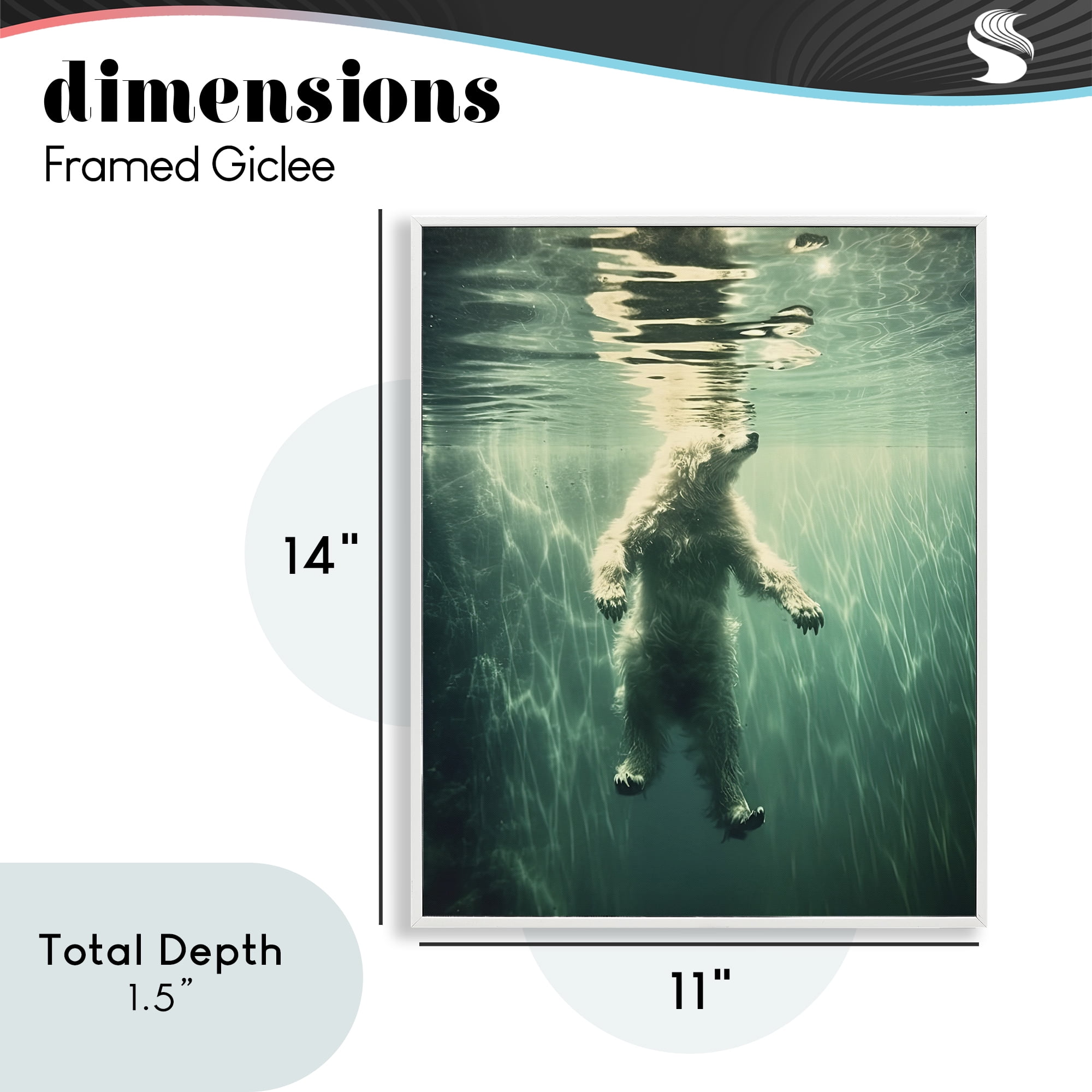 Floating Bear Underwater White Framed Giclee Art, design by Decent Exposures
