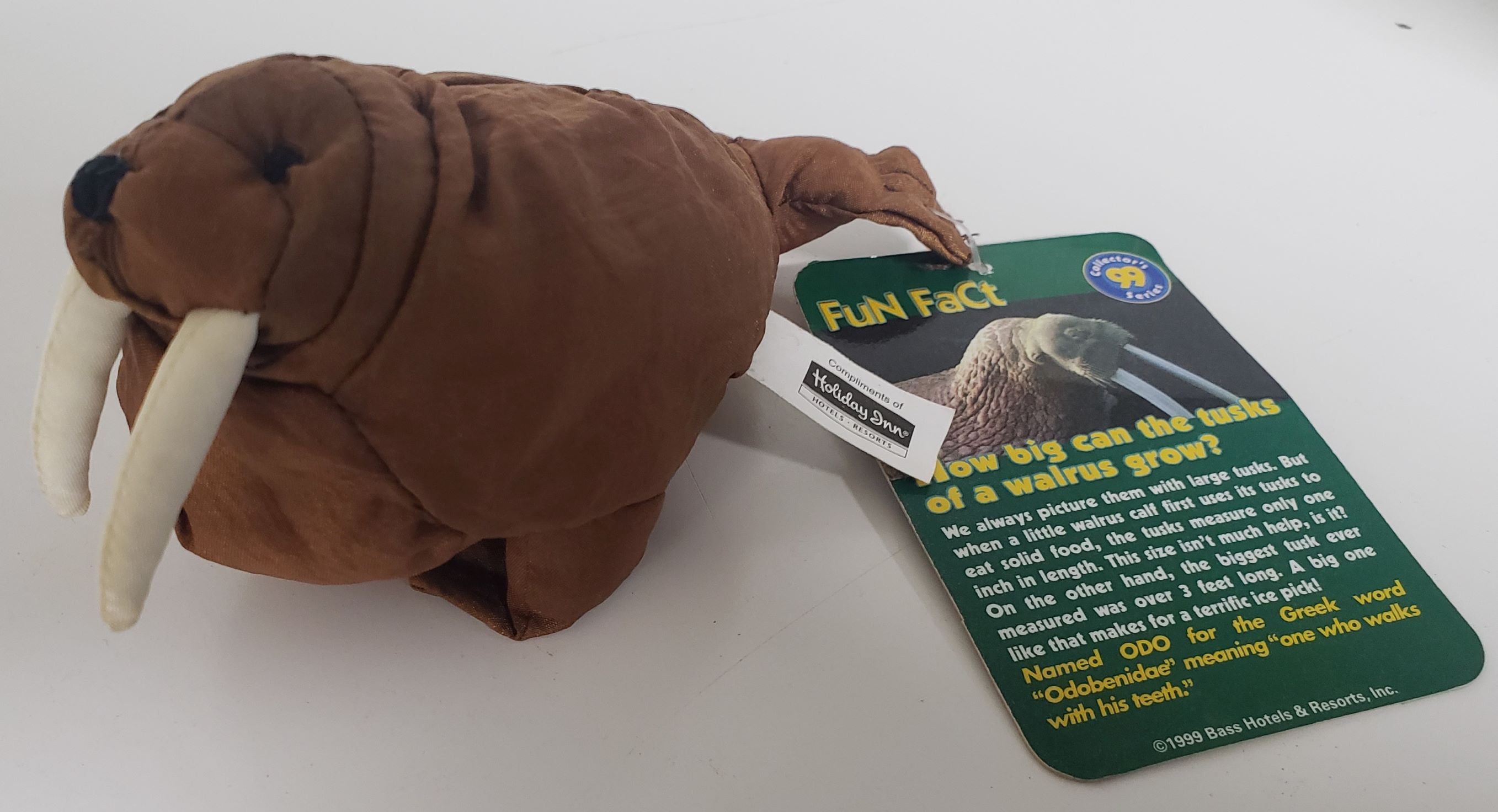 Plush Meaning ubicaciondepersonas.cdmx.gob.mx