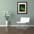 thumbnail image 3 of Trademark Fine Art "Aurora Borealis" Canvas Art by Philippe Sainte-Laudy, White Matte, Wood Frame, 3 of 4