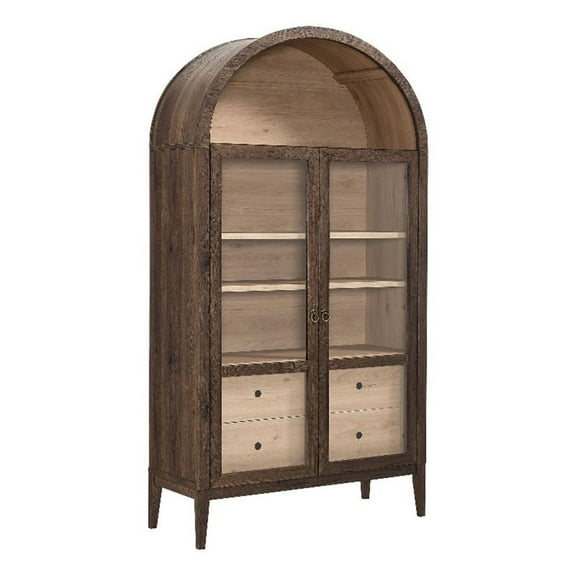 Bowery Hill Contemporary Storage Display Cabinet in Walnut Light Oak