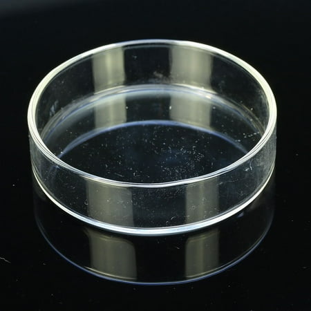 Shrimp Food - ISTA Clear Glass Dish Tray Bowl Shrimp Snail Fish Feeder Food Feeding Aquarium by Aquarium Supplies