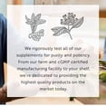 thumbnail image 4 of Fórmula de apoyo desintoxicante Global Healing Center Foreign Protein, 4 of 6