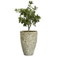 thumbnail image 1 of Artificial Tung Tree 45" Fake Plant Real Touch with Planter, 1 of 3
