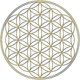 thumbnail image 1 of u200b50 Pack Flower Of Life Vinyl Stickers 5cm Gold Decals For Laptop Water Bottle Journalu200b, 1 of 3