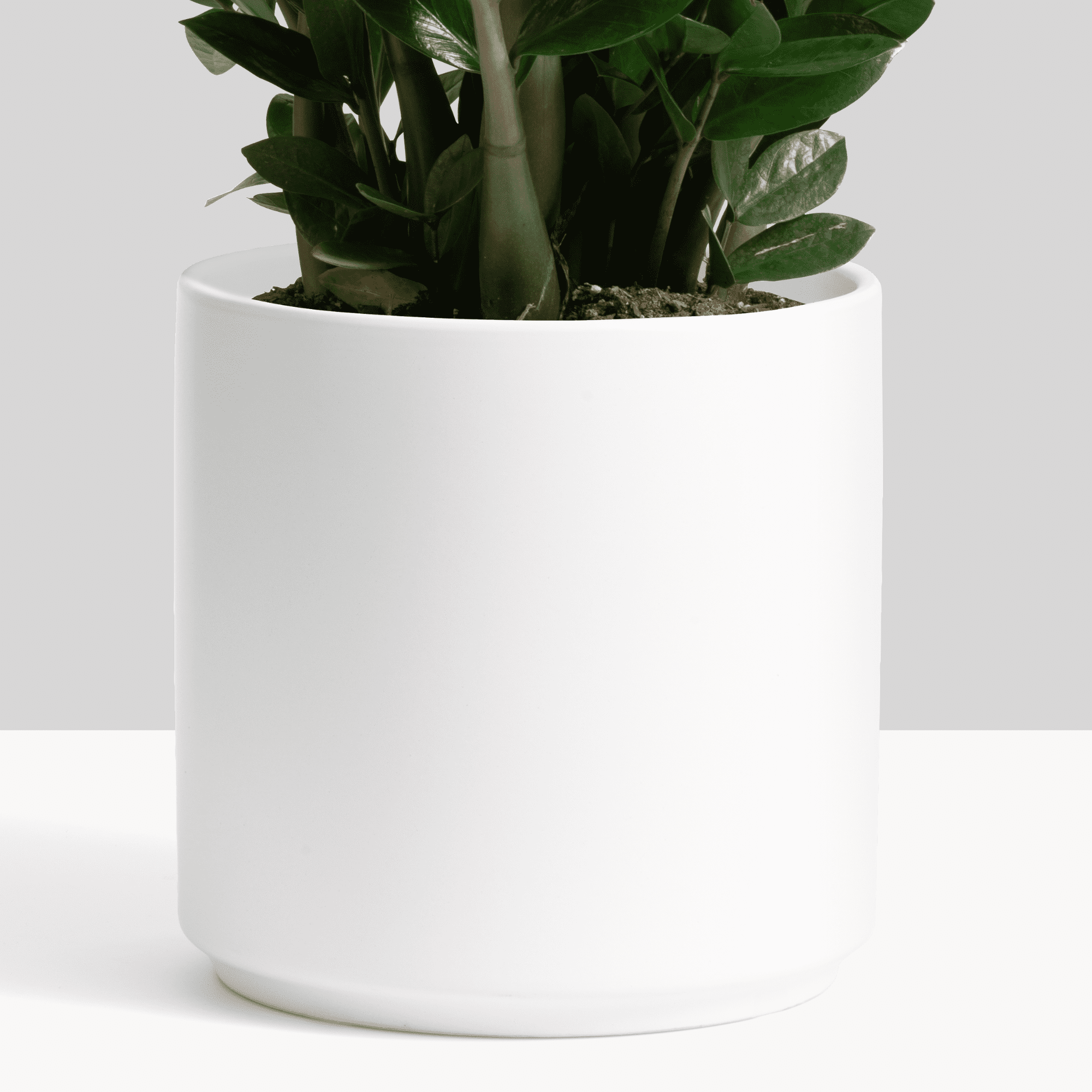 15cm Ceramic Pebble White Planter with Artificial Succulent Plant