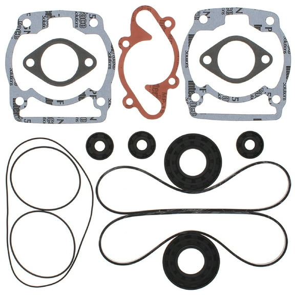 Winderosa 7111630 Gasket Set with Oil Seal