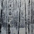 thumbnail image 5 of Shiartex Trees Snow Abstract Polyester Quick-Drying Shower Curtain Set for Bathroom with Hooks 36x72, 5 of 7