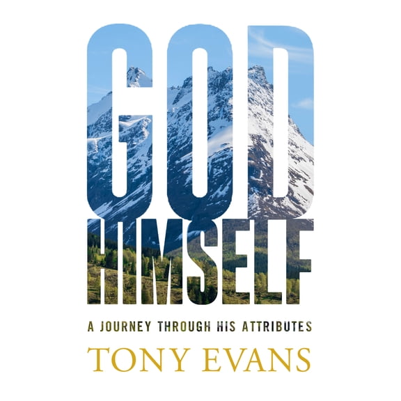 God, Himself : A Journey Through His Attributes (Paperback)