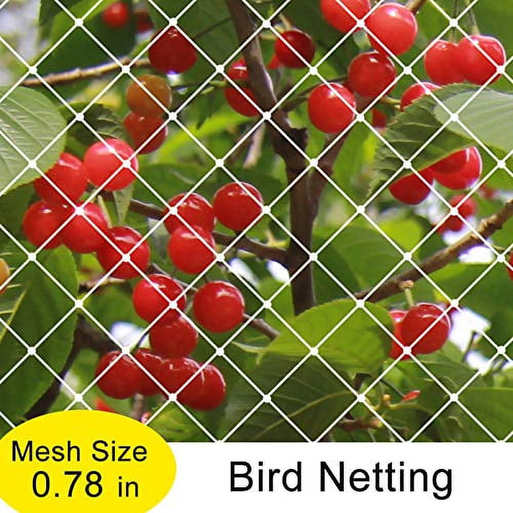 Agfabric Garden Bird Netting Anti Bird Protection Net Fruit Vegetables Flower Garden Pond Netting - Pack of 2 - 25x50ft, White