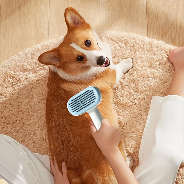Fiudx Ofertas Y Liquidación Cepillo Para Mascotas, Peine De Color De Macarrón Para Tres Cepillos Diferentes, Efecto De Pelo Flotante, Peine Para Derramar Pelo De Perro
