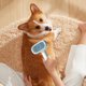 thumbnail image 1 of Fiudx Ofertas Y Liquidación Cepillo Para Mascotas, Peine De Color De Macarrón Para Tres Cepillos Diferentes, Efecto De Pelo Flotante, Peine Para Derramar Pelo De Perro, 1 of 5