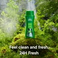 thumbnail image 3 of Irish Spring Original Moisturizing Body Wash for Men, 24-Hour Fresh, Face and Body Wash, Men’s Body Wash, Biodegradable Ingredients, Paraben Free, Cool Fresh Scent, 3.4 fl oz Bottle, 3 of 12