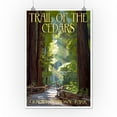 thumbnail image 3 of Glacier National Park, Montana, Trail of the Cedars (12x18 Wall Art Poster, Room Decor), 3 of 3