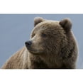 thumbnail image 2 of North America [Blu-ray], 2 of 5
