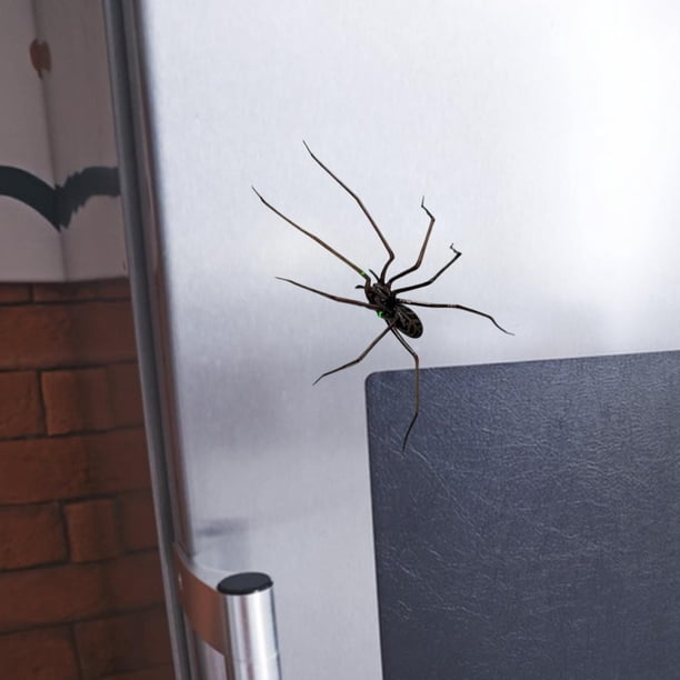 Decoración de calcomanías para el refrigerador de araña para decoración del exterior del refrigerador al aire libre accesorio de cocina para la cocina