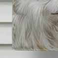 thumbnail image 4 of Carolines Treasures CK6581CHF Japanese Spitz American Canvas House Size outdoor-flags, Multicolor, 4 of 4