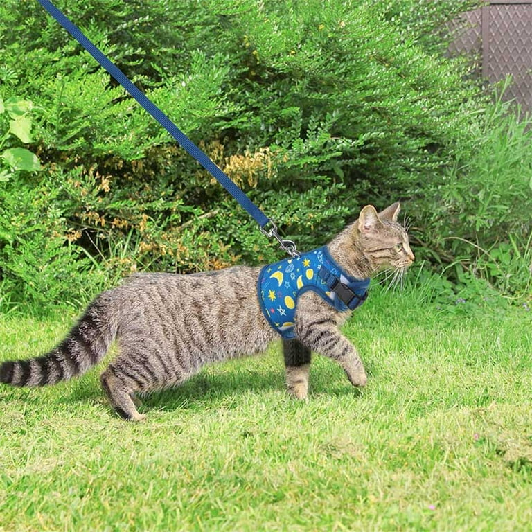 BINGPET Cat Harness with Leash Escape Proof Fashionable Mesh Cat
