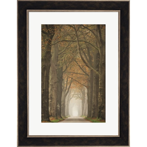 Great Art Now Beech Lined Road by Martin Podt, Framed Wall Art, 20.5W x 26.5H