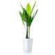 thumbnail image 1 of QinaQin Árbol artificial tipo platanera con maceta blanca alta, planta tropical decorativa ideal para sala, entrada, terraza u oficina, 1 of 8