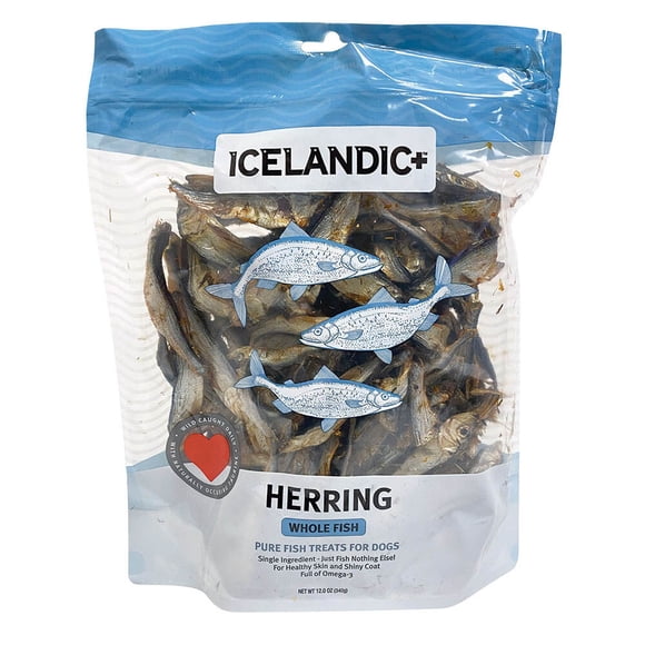 Herring Whole Fish