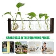 thumbnail image 3 of Shisuyan Plants Terrarium Wood And Iron 1Set 15In X 4.9In, 3 of 8