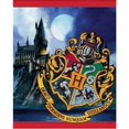 thumbnail image 2 of Artículos de fiesta únicos para cumpleaños de Harry Potter con bolsas de botín, 2 of 6