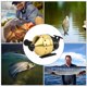 thumbnail image 5 of Carrete de pesca con arco al aire libre, líneas interiores, accesorio de tiro de caza de peces cerrado, dorado, 5 of 5