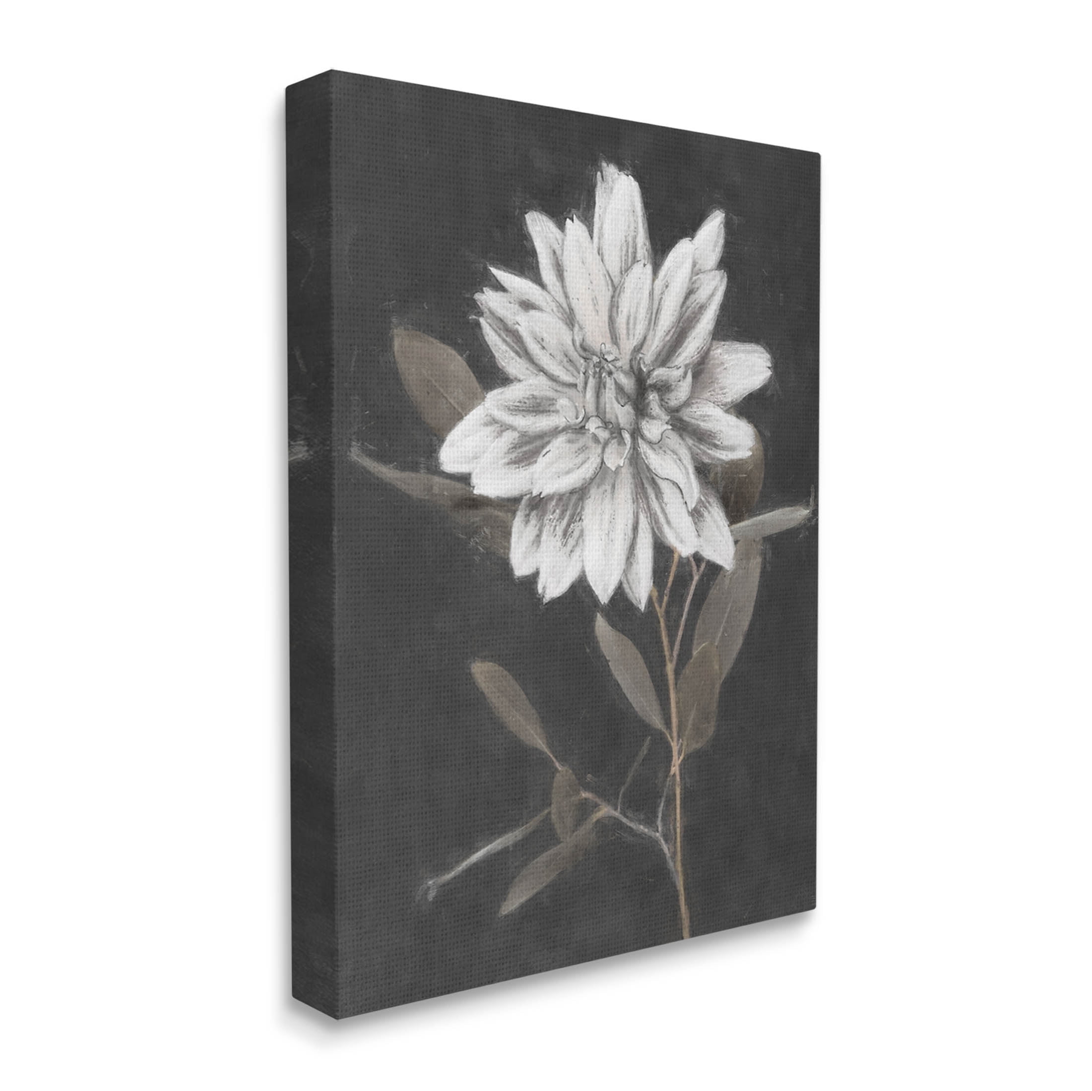 Stupell Industries Modern White Dahlia Blossom Sprout Painting Gallery Wrapped Canvas Print Wall Art, Design by Nina Blue