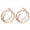 Rose Gold, variant on YUEHAO Nose Jewelry Double Nose Hoop Ring For Piercing Nose Hoop, Nose Ring Hoop For Women, Spiral Nose Hoop For Girls, Nostril Piercing Jewelry Multicolor