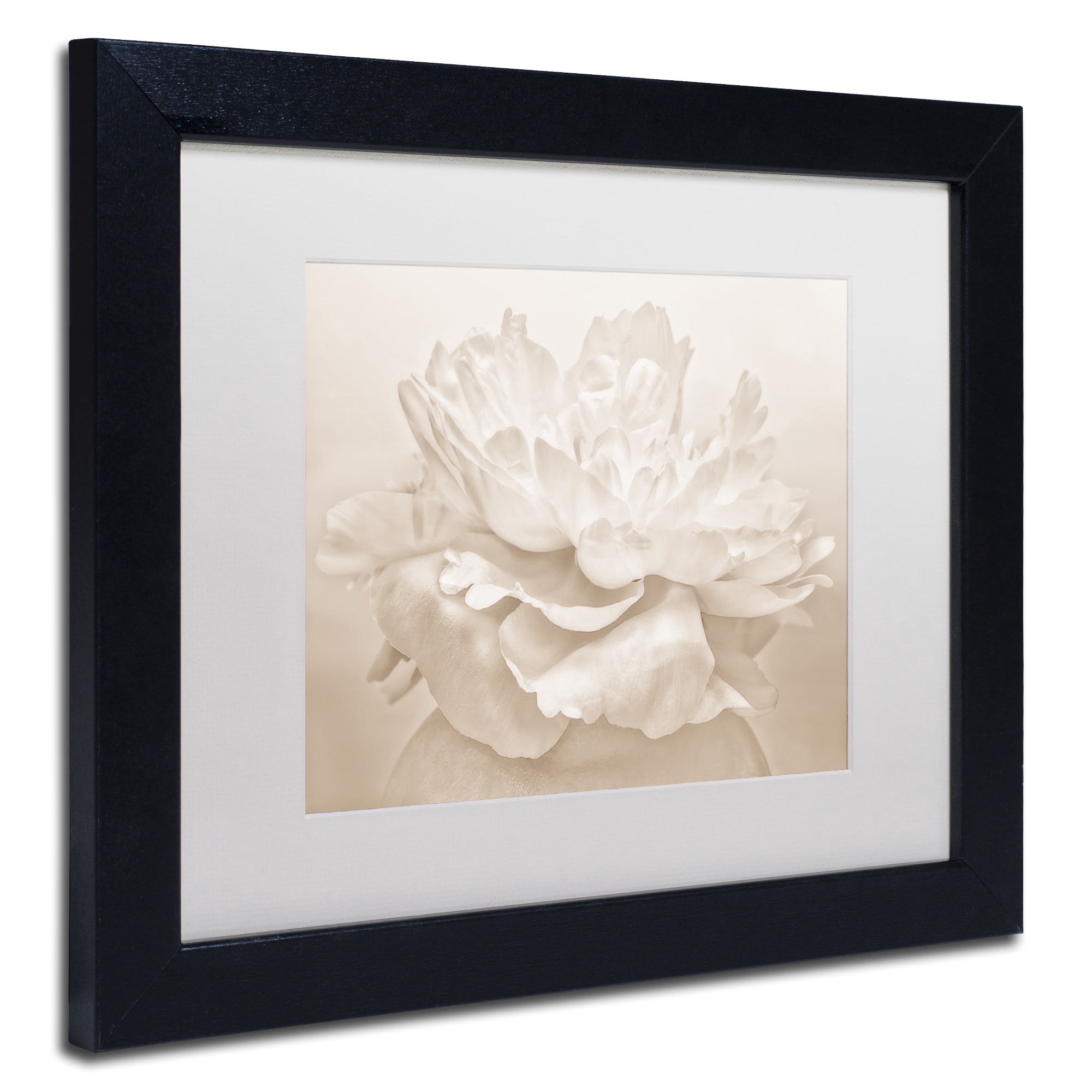 Trademark Fine Art 'White Peony' Canvas Art by Cora Niele, White Matte, Wood Frame