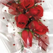 Lion 690930 Seevue Bag - Size 6, Clear - 100 Bags per Box