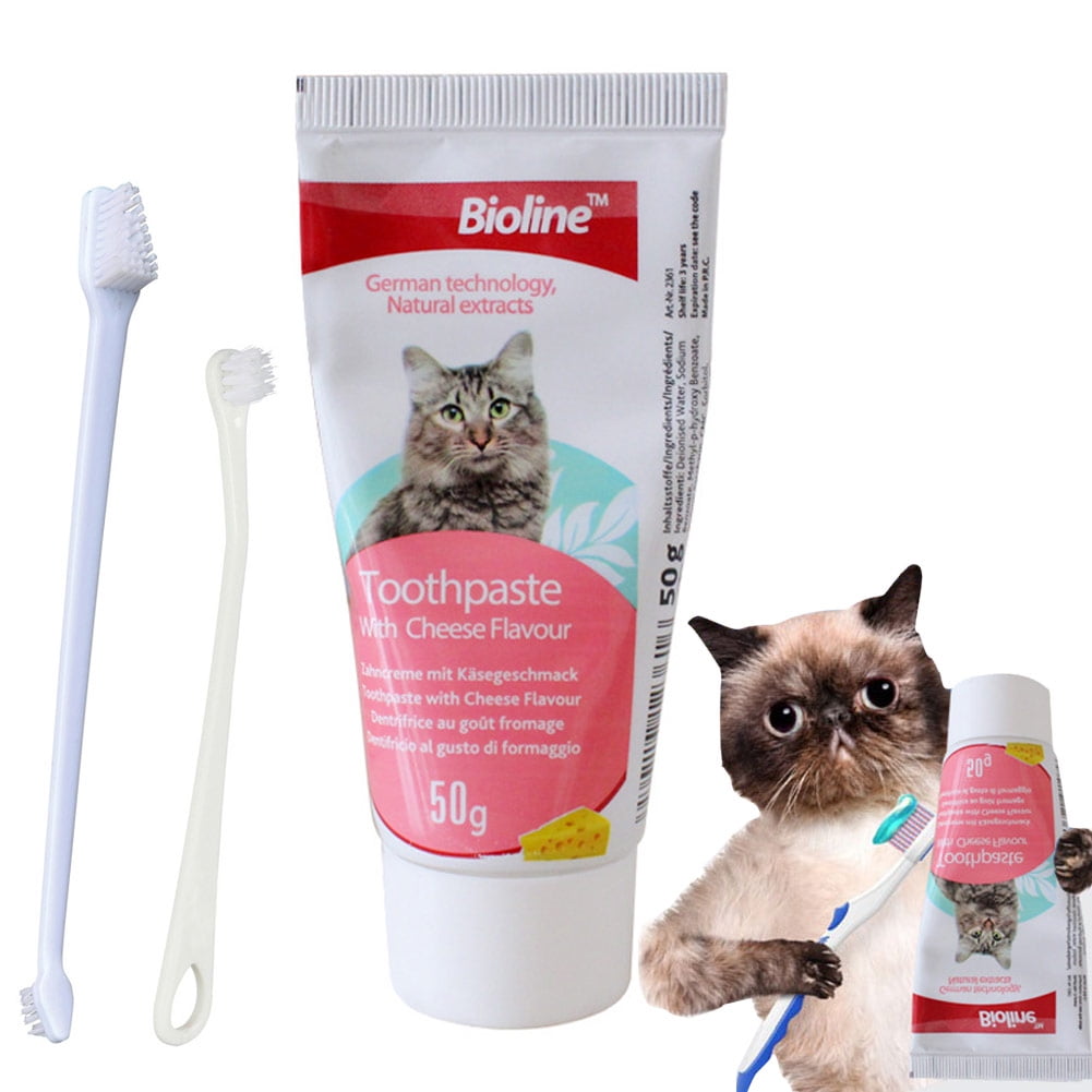 cat toothbrush and toothpaste