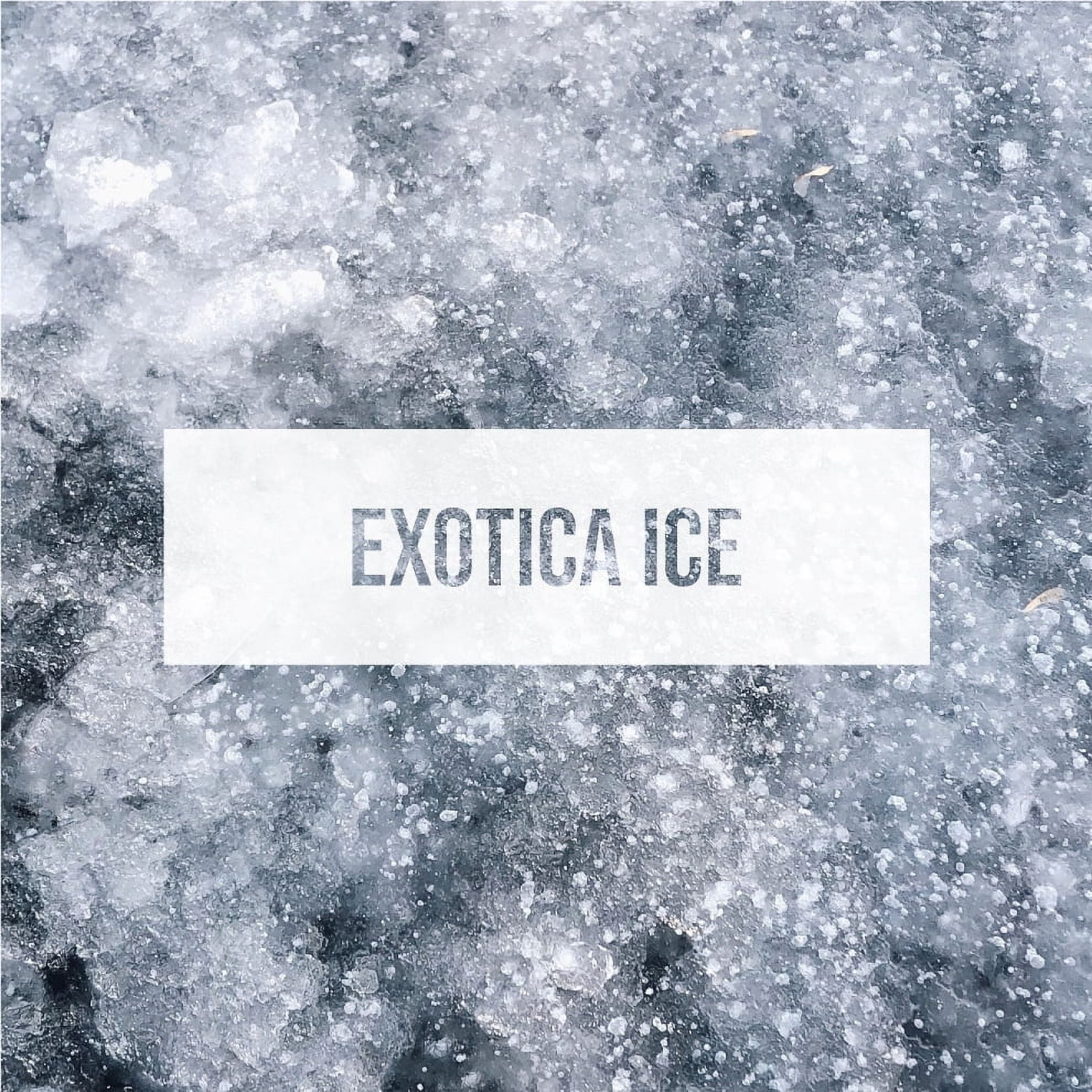 Exotica Car Air Freshener | Spill-proof Can | Organic | For Home & Auto | Long Lasting Freshness | (Pack of 12) (Exotica Ice)